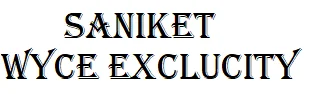 Saniket Wyce Exclucity Logo